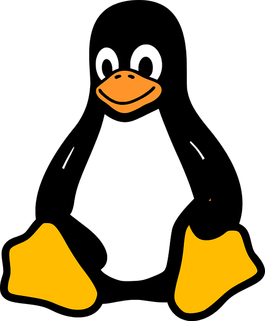 Día 4. La interfaz de línea de comandos de Linux (CLI)